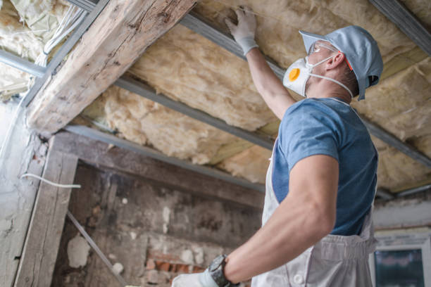 Types of Insulation We Offer in Duncansville, PA