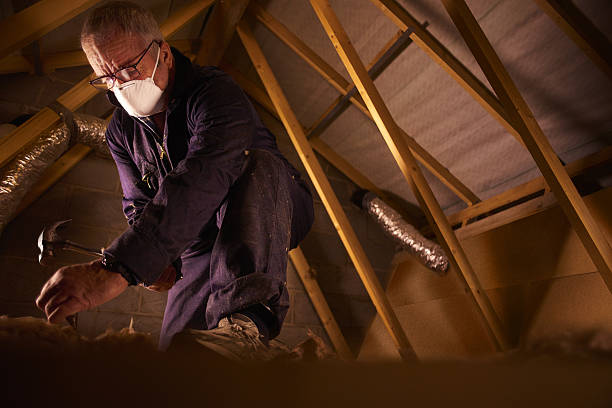 Best Residential Insulation in Duncansville, PA