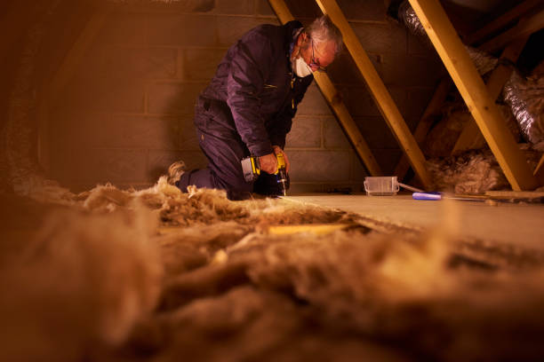 Best Geographic-Specific Insulation Services in Duncansville, PA